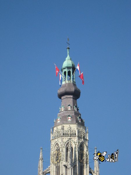 IMG_6568_BredaSingelloop2011.JPG