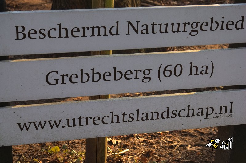 DSC_1844_Grebbeberg.jpg